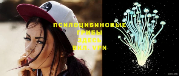 spice Бугульма