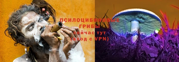 spice Бугульма
